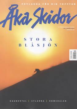 Åka Skidor #3