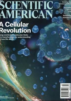 Scientific American #2