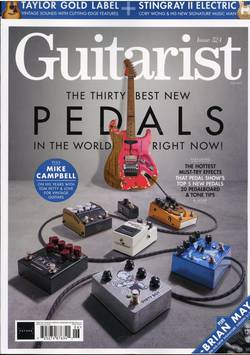 Guitarist #6