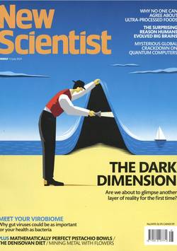 New Scientist #28