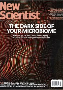 New Scientist #7