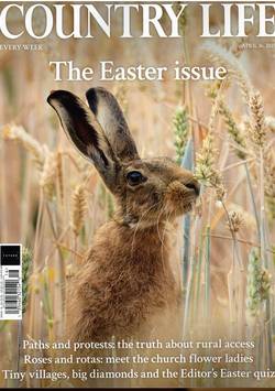 Country Life #16