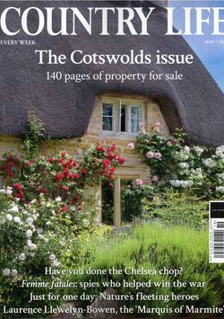 Country Life #19
