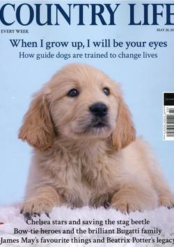 Country Life #22