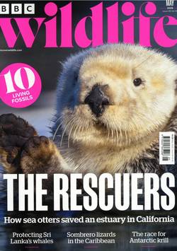 BBC Wildlife #5