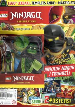 Lego Ninjago #6