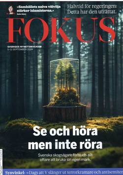 Fokus #36