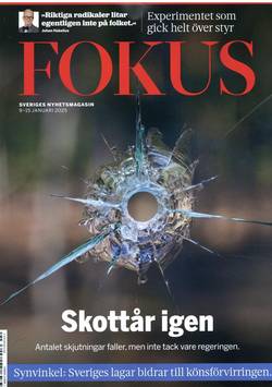 Fokus #2