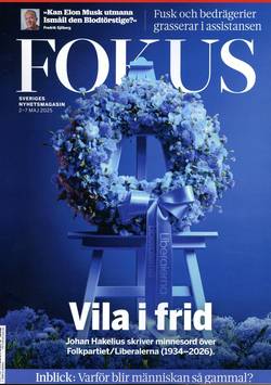 Fokus #18