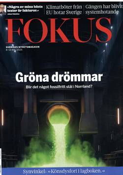 Fokus #19