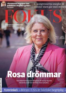 Fokus #21