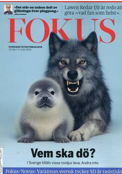 Fokus #22