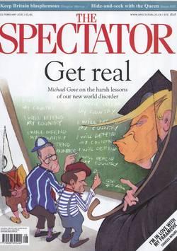 The Spectator #8