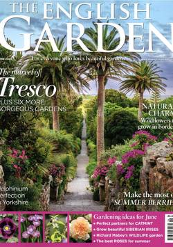 English Garden #6