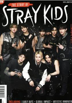 BZ Story of Stray Kids #1