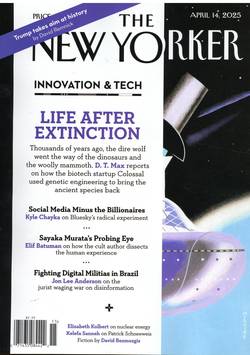 New Yorker #15