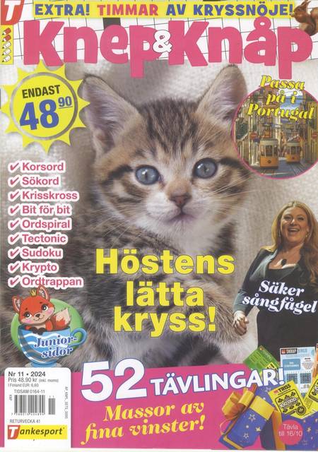 Tidningen Knep & Knåp #11