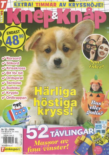 Tidningen Knep & Knåp #12