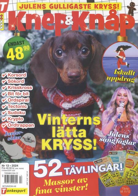 Tidningen Knep & Knåp #13