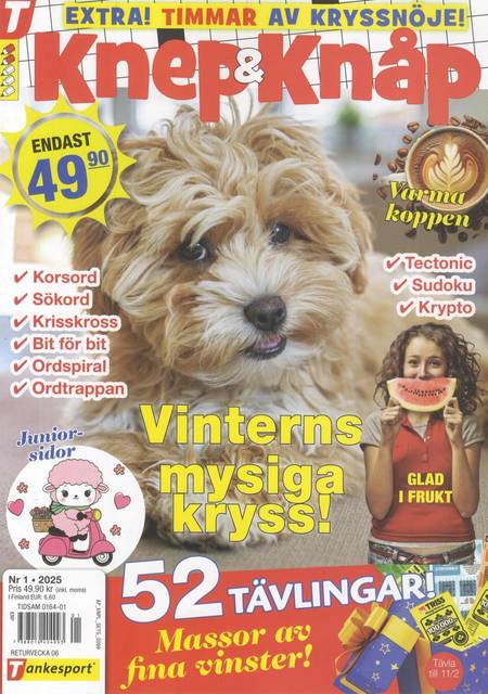 Tidningen Knep & Knåp