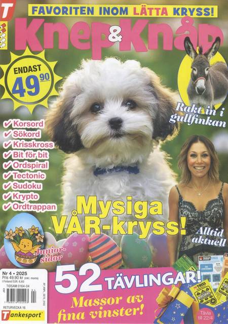 Tidningen Knep & Knåp