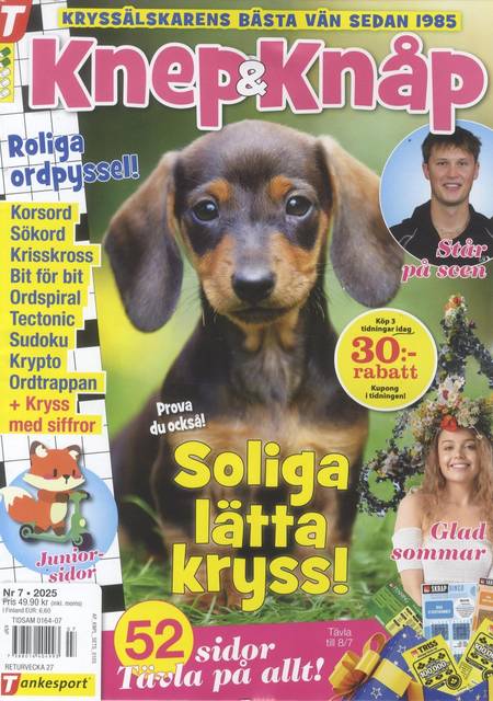 Tidningen Knep & Knåp #7