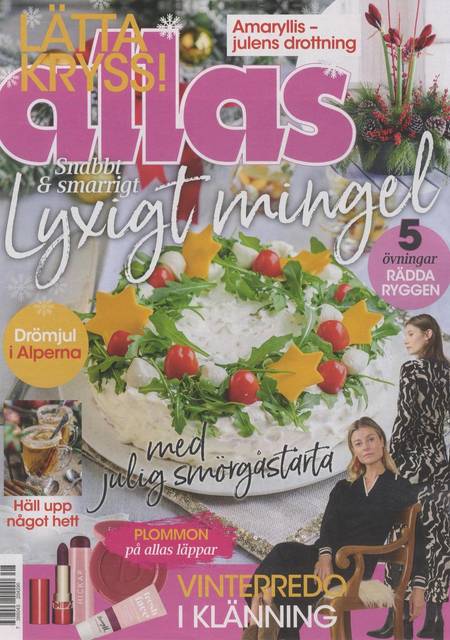 Tidningen Allas #48