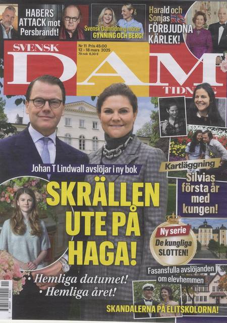 Tidningen Svensk Damtidning