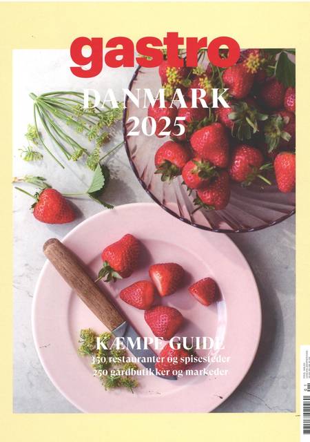 Tidningen Gastro Special #1