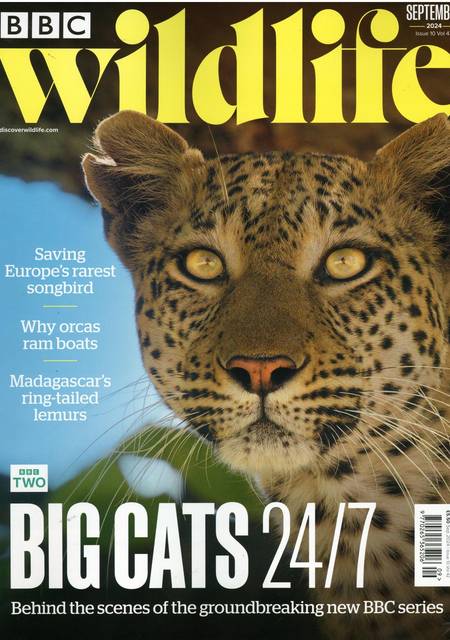 Tidningen BBC Wildlife