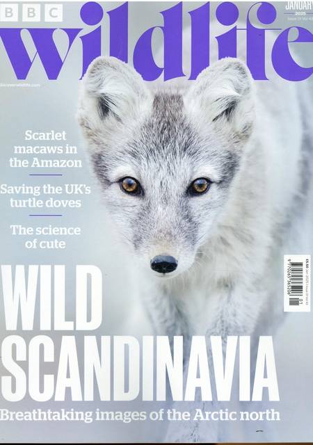 Tidningen BBC Wildlife