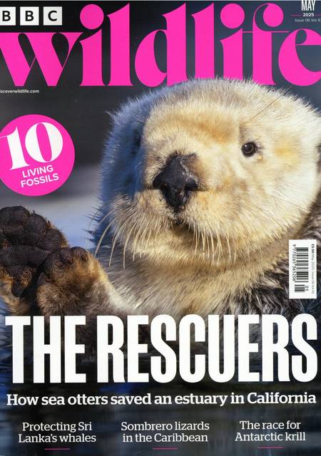 Tidningen BBC Wildlife