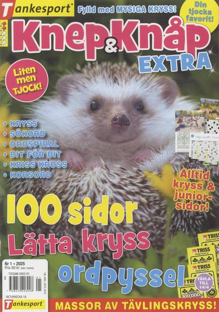 Tidningen Knep & Knåp Extra #1