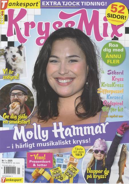 Tidningen KryssMix #1