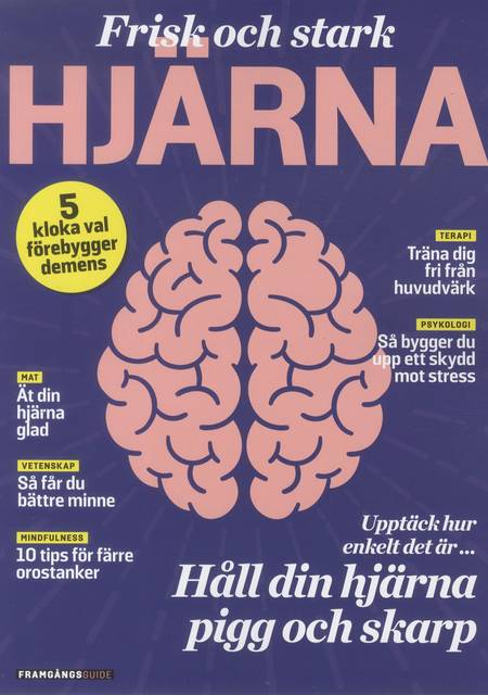 Tidningen Framgångsguide I Form