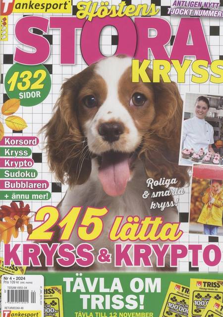 Tidningen TS Stora Kryss