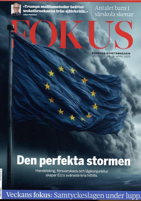 Tidningen Fokus #17
