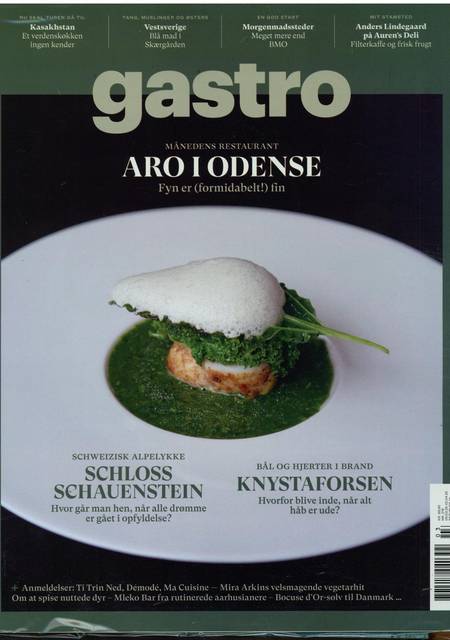 Tidningen Gastro #3